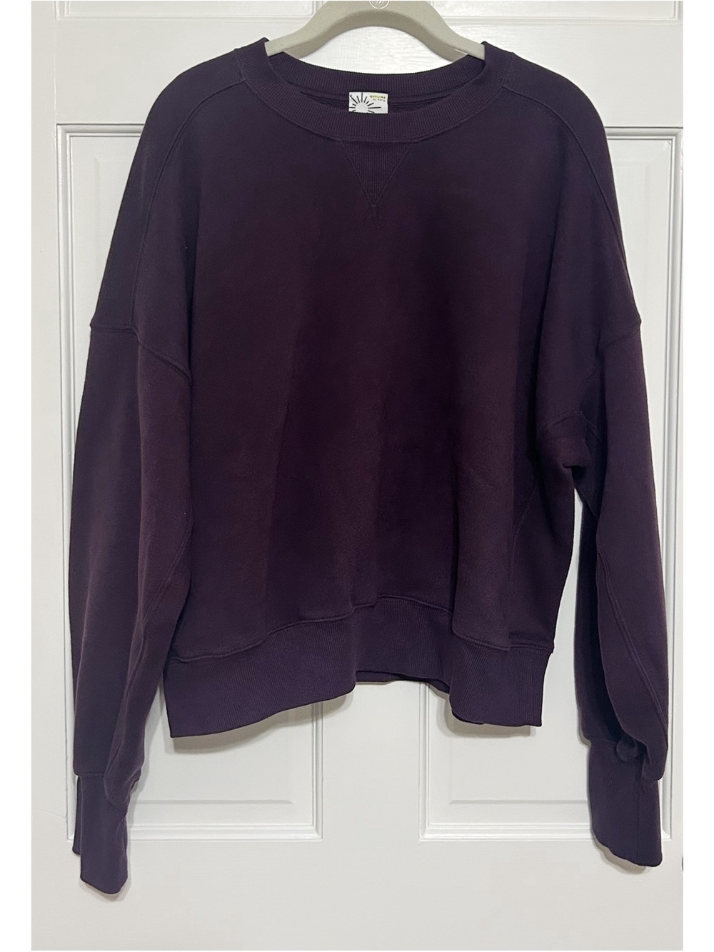 Offline by Aerie Crewneck Sweatshirt in Plum